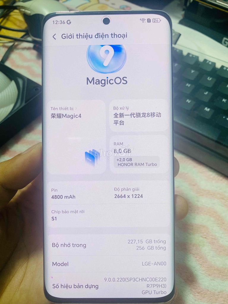 Honor Magic4 8GB/256GB Vàng. Mua bán Điện thoại tại Thị xã Bến Cát Bình Dương được đăng bởi Bình Minh hình 1
