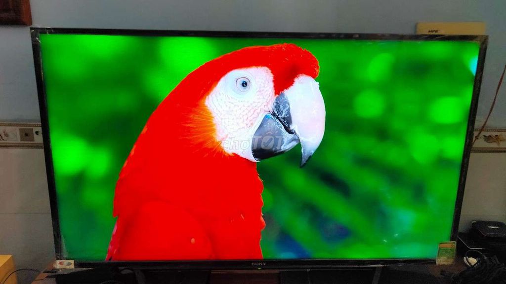 smart tv sony 40in wifi youtube nhanh lẹ . Mua bán Tivi, Âm thanh tại Huyện Bình Chánh Tp Hồ Chí Minh được đăng bởi Pham vinh hình 1