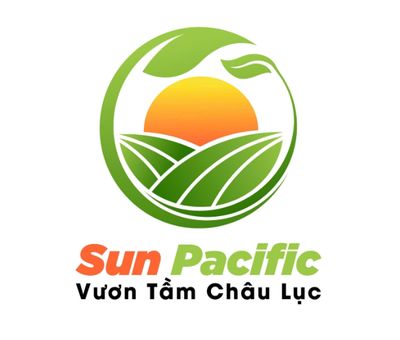 CÔNG TY TNHH SUN PACIFIC