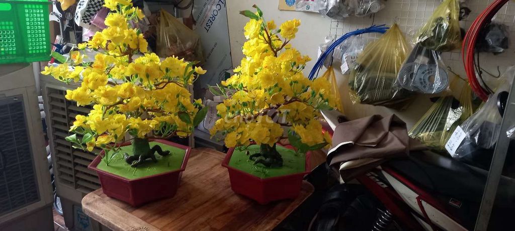 Cây mai giả nhựa Vàng 3 chậu. Mua bán Cây cảnh, đồ trang trí tại Quận Gò Vấp Tp Hồ Chí Minh được đăng bởi kimngoc hình 1