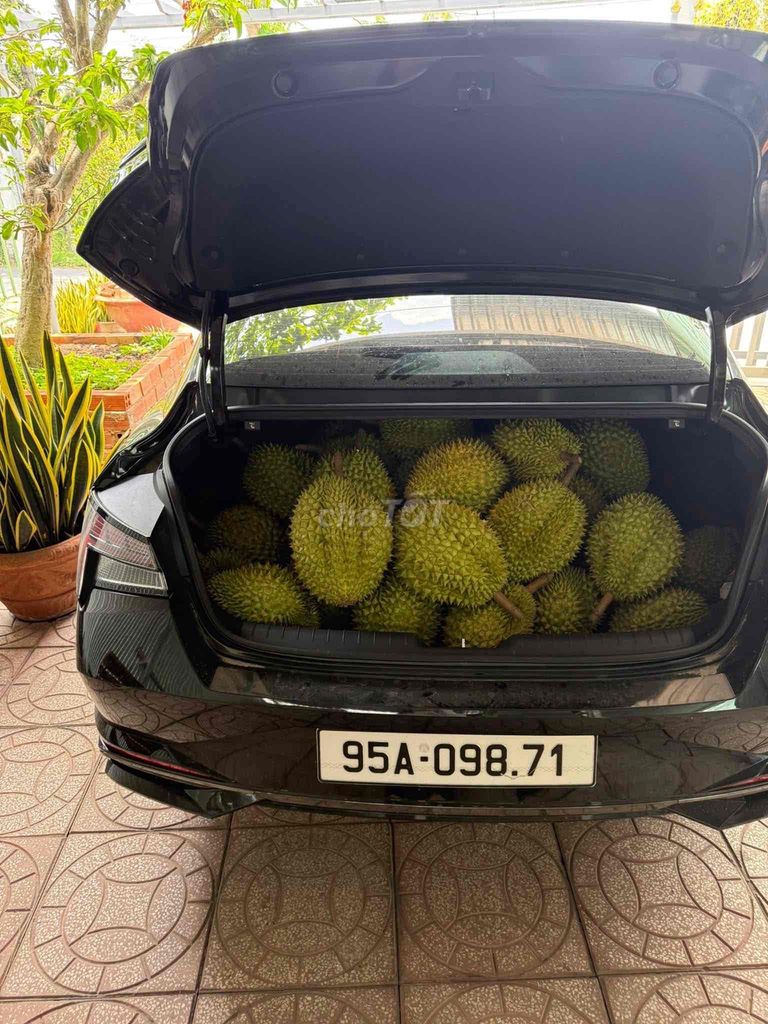 THÁNG NGÂU TẬU ELANTRA ƯU ĐÃI SÂU. Mua bán Ô tô tại Quận Bình Thuỷ Cần Thơ được đăng bởi Ms Vân Hyundai Cần Thơ  hình 2