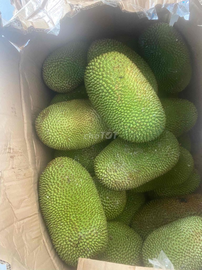 Mít Tố Nữ. Mua bán Đồ ăn, thực phẩm và các loại khác tại Huyện Nhà Bè Tp Hồ Chí Minh được đăng bởi T Linh  hình 1