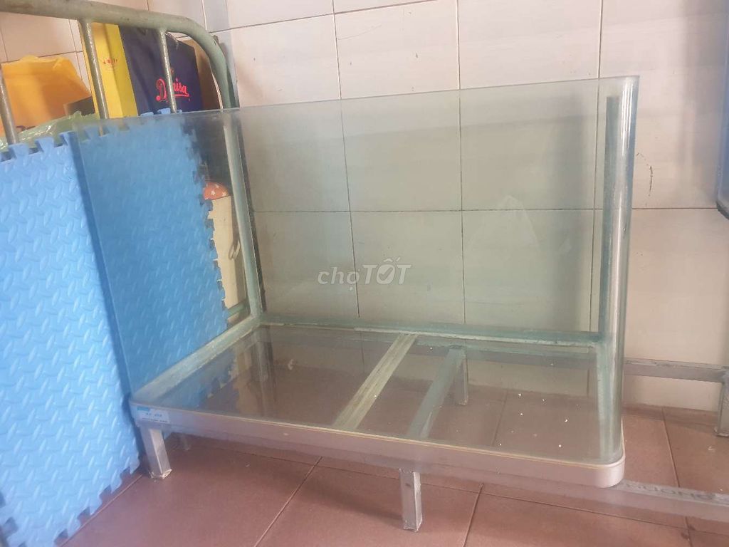 Hồ cá 80x40x50 kính cong bo tròn và 1 hồ cubic 40