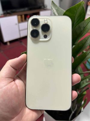 Apple iPhone 14 Pro Max 128GB Vàng