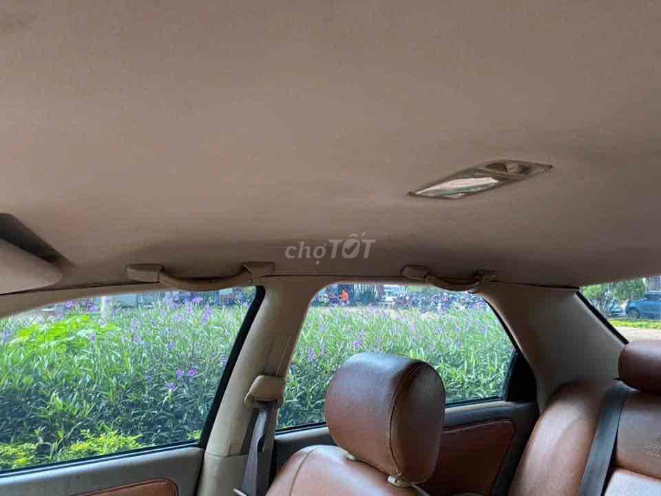 Ảnh số 8