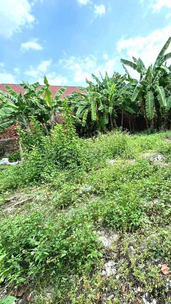 BÁN RẺ ĐẤT HÓA AN, SỔ HỒNG THỔ CƯ, ĐƯỜNG RỘNG 6m. Mua bán đất tại Thành phố Biên Hòa Đồng Nai được đăng bởi Long hình 3
