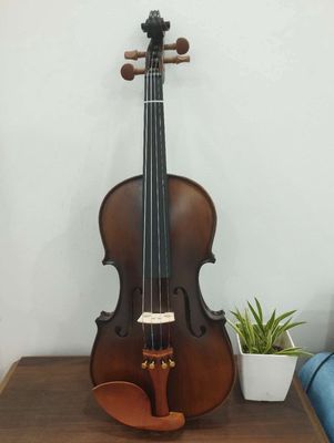 Largon Violin 4/4 đủ phụ kiện.