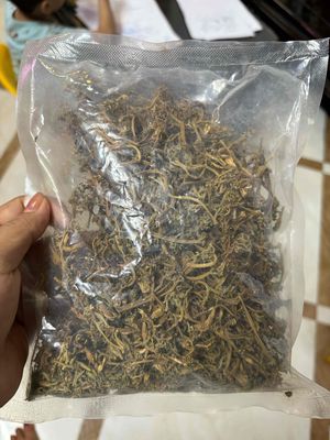 hoa đu đủ đực phơi khô. Mua bán Đồ ăn, thực phẩm và các loại khác tại Quận Hà Đông Hà Nội được đăng bởi tuyết khương