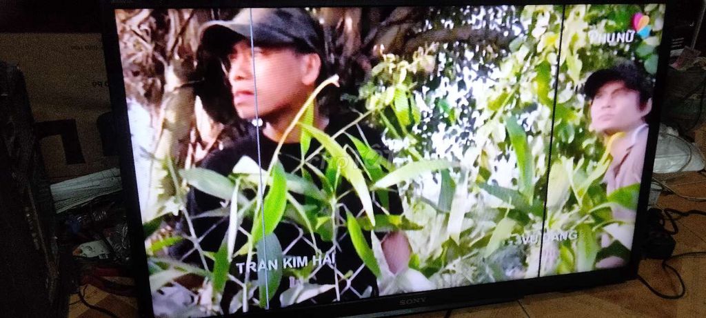 Tivi Sony đã sử dụng. Mua bán Tivi, Âm thanh tại Quận Bình Tân Tp Hồ Chí Minh được đăng bởi Huỳnh Tấn hình 1