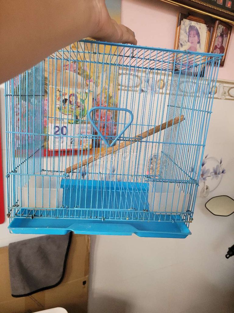 Lồng chim màu Xanh dương Mới. Mua bán Chim tại Quận Bình Thạnh Tp Hồ Chí Minh được đăng bởi Shop chim cảnh hình 1
