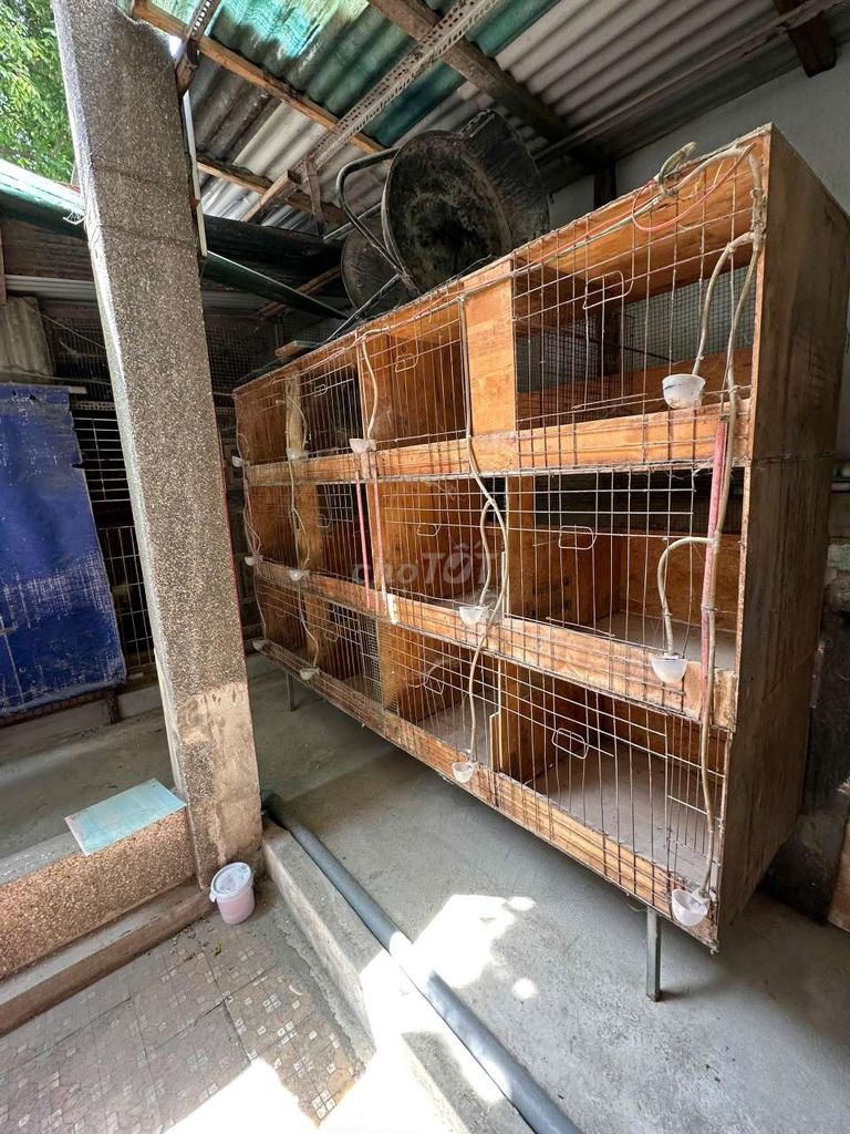 Chuồng gà 60x50x50 cm 12 ngăn. Mua bán Đồ chuyên dụng, Giống nuôi trồng tại Quận Gò Vấp Tp Hồ Chí Minh được đăng bởi Trại Gà Kiểng GV hình 1