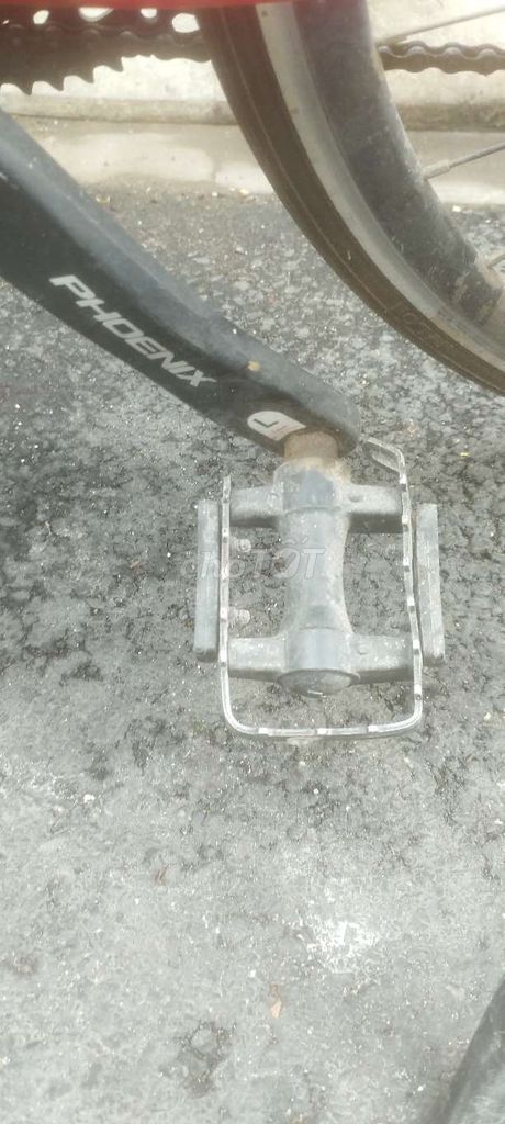Xe đạp thể thao Phoenix Gravel Hợp kim nhôm. Mua bán Xe đạp tại Quận Tân Bình Tp Hồ Chí Minh được đăng bởi Lê Viết Hoà hình 6