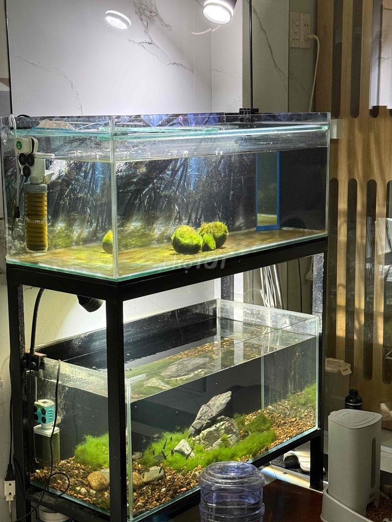 Hồ cá 80x36x40 5li full từ A tới Z. Mua bán Phụ kiện, Thức ăn, Dịch vụ tại Quận Bình Tân Tp Hồ Chí Minh được đăng bởi Lưu Tấn Phát hình 2