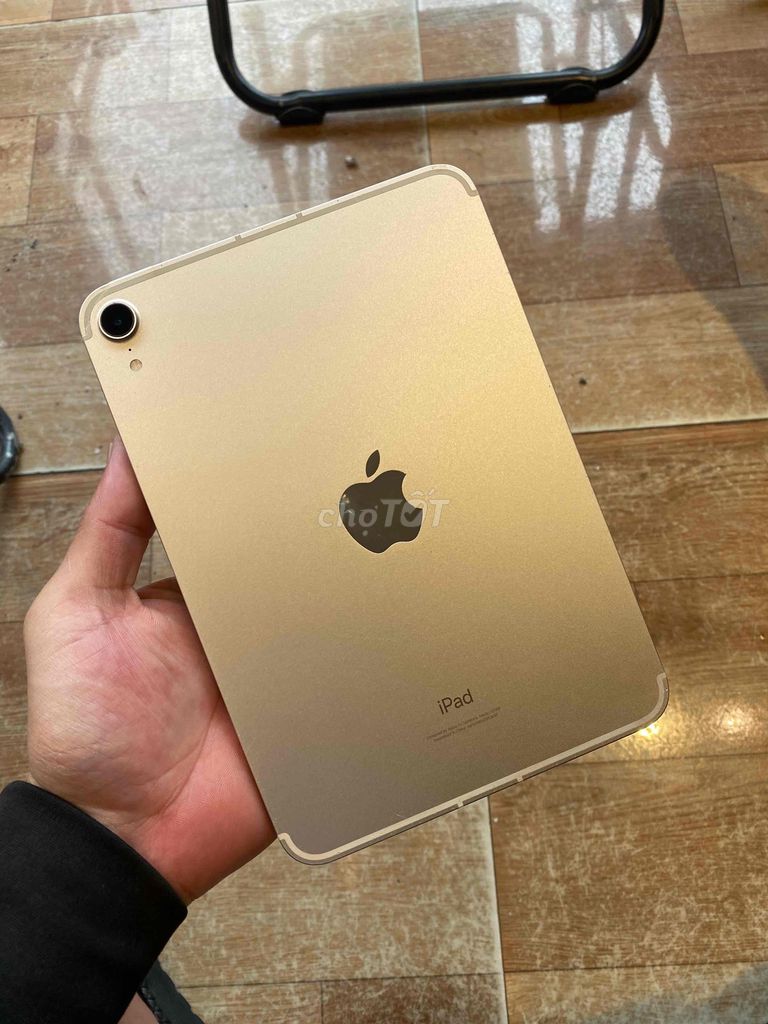 Apple iPad mini 6 64GB Vàng - 132919435