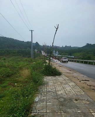 Cần bán đất thổ cư, MT đường nhựa 8m, Huyên bảo Lâm.. Mua bán đất tại Huyện Bảo Lâm Lâm Đồng được đăng bởi long nguyenthanh