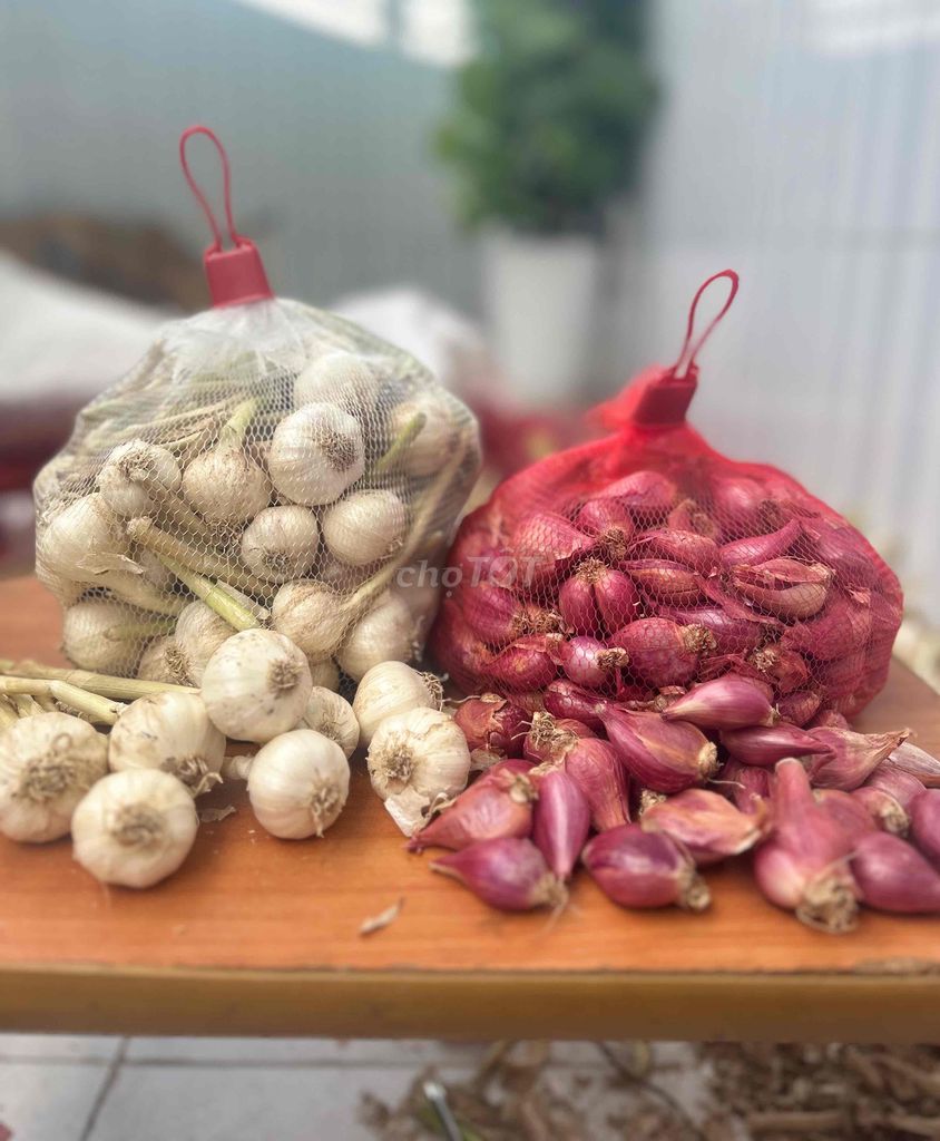 hành tỏi lý sơn. Mua bán Đồ ăn, thực phẩm và các loại khác tại Thành phố Thủ Đức Tp Hồ Chí Minh được đăng bởi Blink Bình hình 1