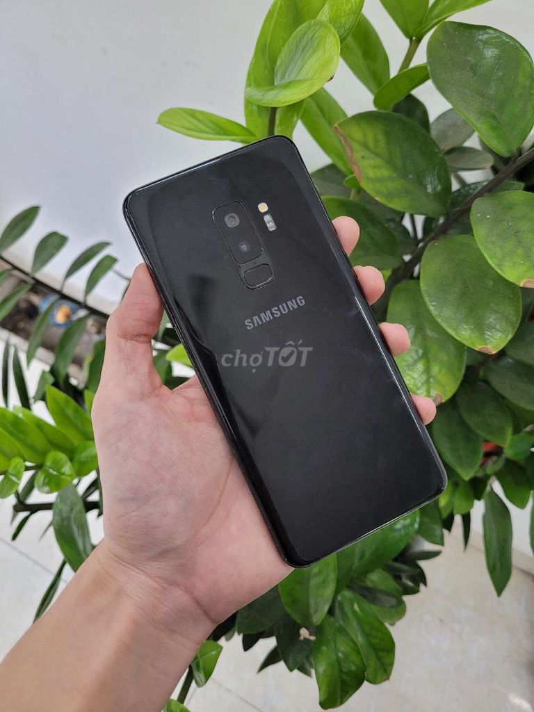 S9 Plus sẵn đủ loại 64GB ~ 256GB,mượt,có ship,góp