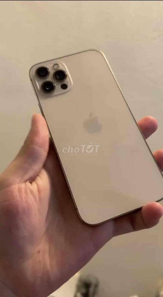 Apple iPhone 12 Pro Vàng Đã thay màn. Mua bán Điện thoại tại Huyện Hải Hậu Nam Định được đăng bởi Pham Van hình 1