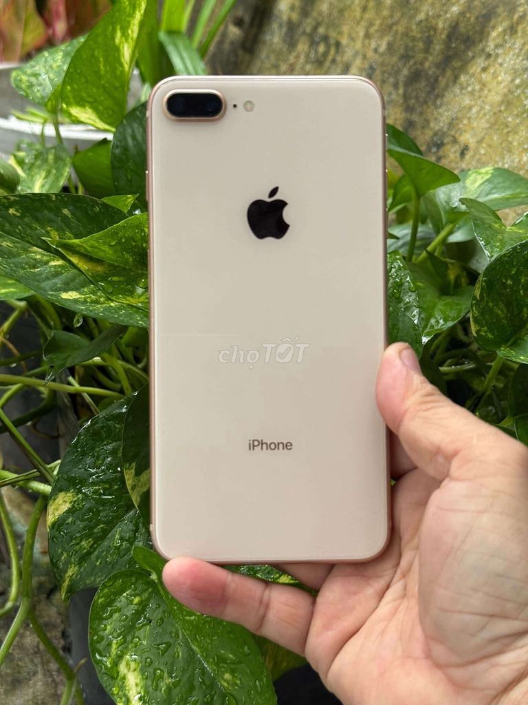 8p lock zin. Mua bán Điện thoại tại Huyện Trảng Bàng Tây Ninh được đăng bởi Pixel hình 1