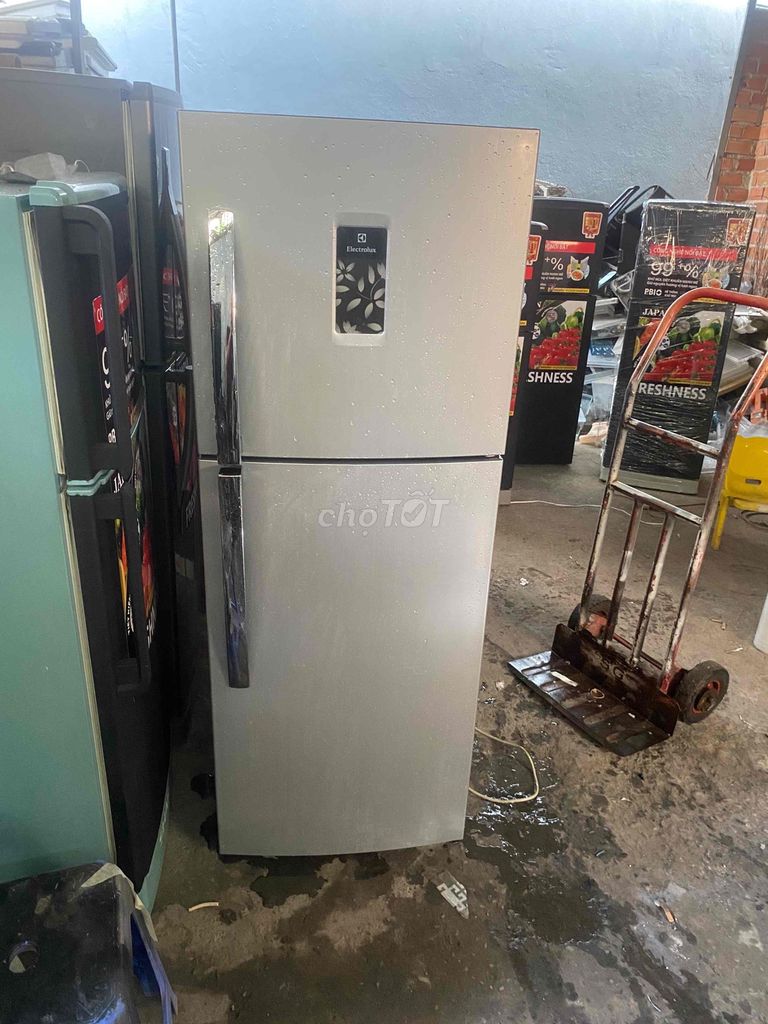 Tủ lạnh Electrolux 225l Hai cửa Bạc. Mua bán Tủ lạnh tại Thành phố Thủ Đức Tp Hồ Chí Minh được đăng bởi phan son hình 1