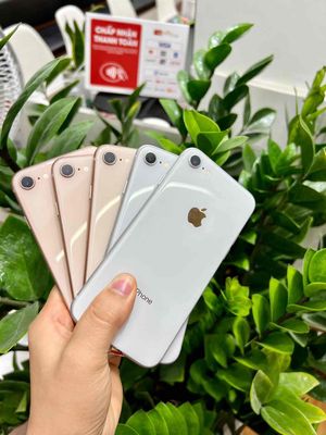 IPhone 8G 64GB❤️ Tặng 1 Viên Pin Cho Khách Hàng