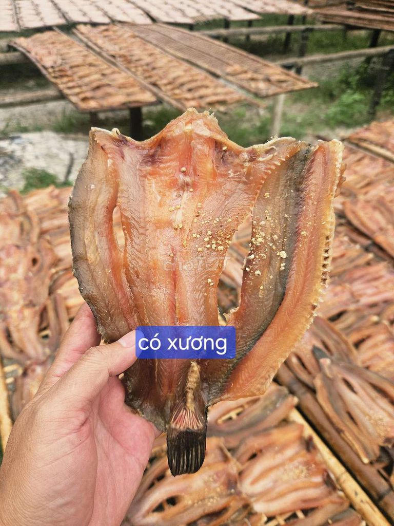 Khô cá lóc ướp tiêu sọ 1kg. Mua bán Đồ ăn, thực phẩm và các loại khác tại Thành phố Sóc Trăng Sóc Trăng được đăng bởi NGUYỄN HỒ   hình 1