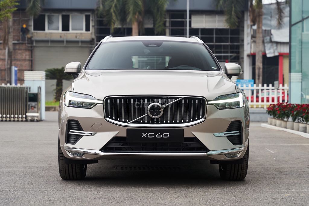 Volvo XC60 Ultra 2025, màu Vàng cát Bright Dusk