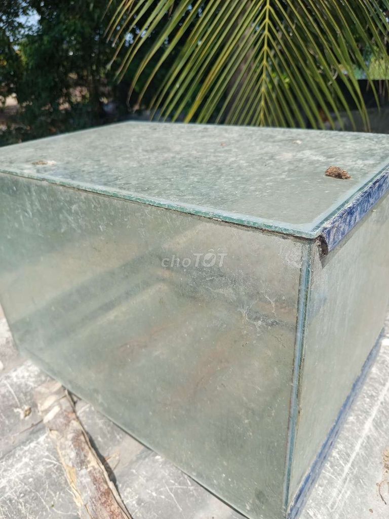 Hồ cá kính trong suốt. Mua bán Phụ kiện, Thức ăn, Dịch vụ tại Huyện Bến Lức Long An được đăng bởi Phương hình 1
