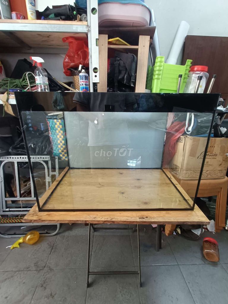 Bể cá cảnh Kính Mới. Mua bán Phụ kiện, Thức ăn, Dịch vụ tại Quận Tân Bình Tp Hồ Chí Minh được đăng bởi yes and no hình 1