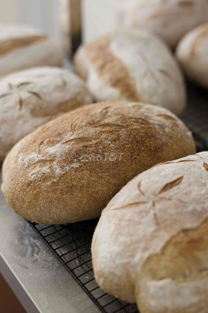 À LA MAIN TUYỂN DỤNG VỊ TRÍ BẾP. Việc làm tại Quận 7 Tp Hồ Chí Minh được đăng bởi À La Main Cafe hình 6