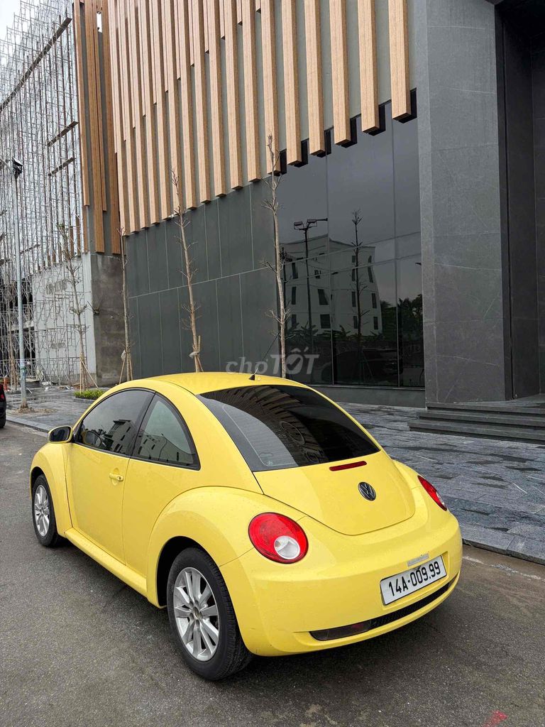 Ảnh số 5