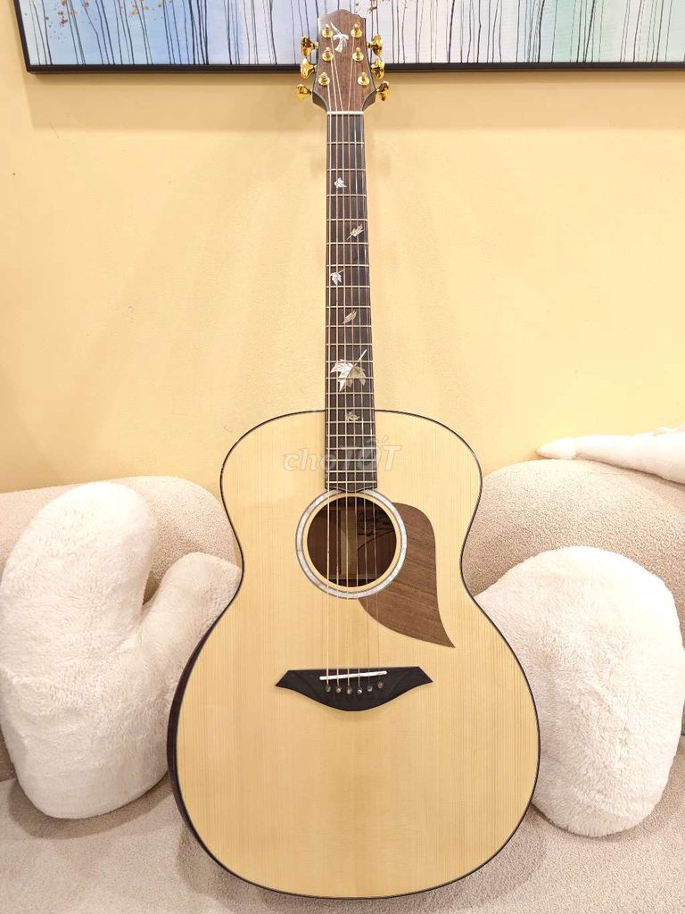 Thuận guitar 04CX custom