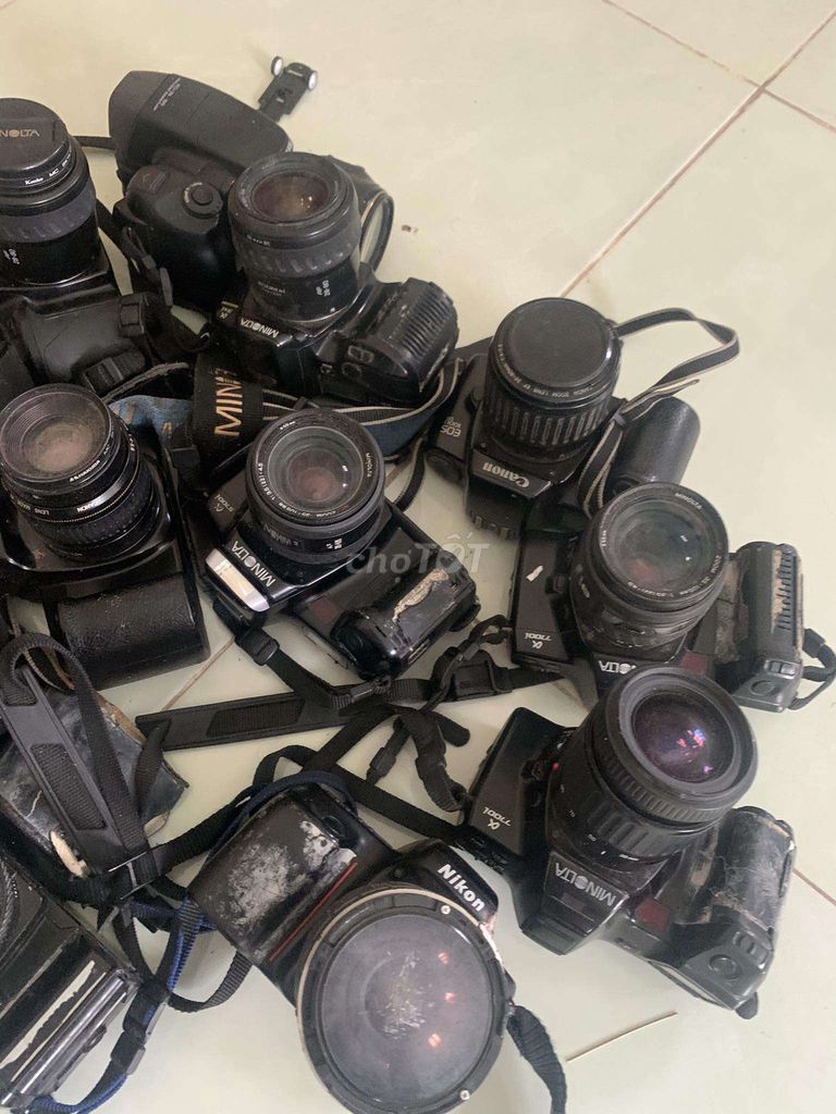 Lô máy ảnh film cũ