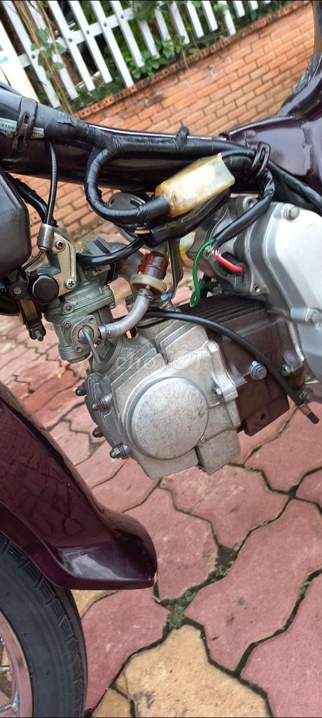 Honda Dream II Nâu đỏ Đã sử dụng. Mua bán Xe máy tại Huyện Châu Đức Bà Rịa - Vũng Tàu được đăng bởi anh bach hình 14