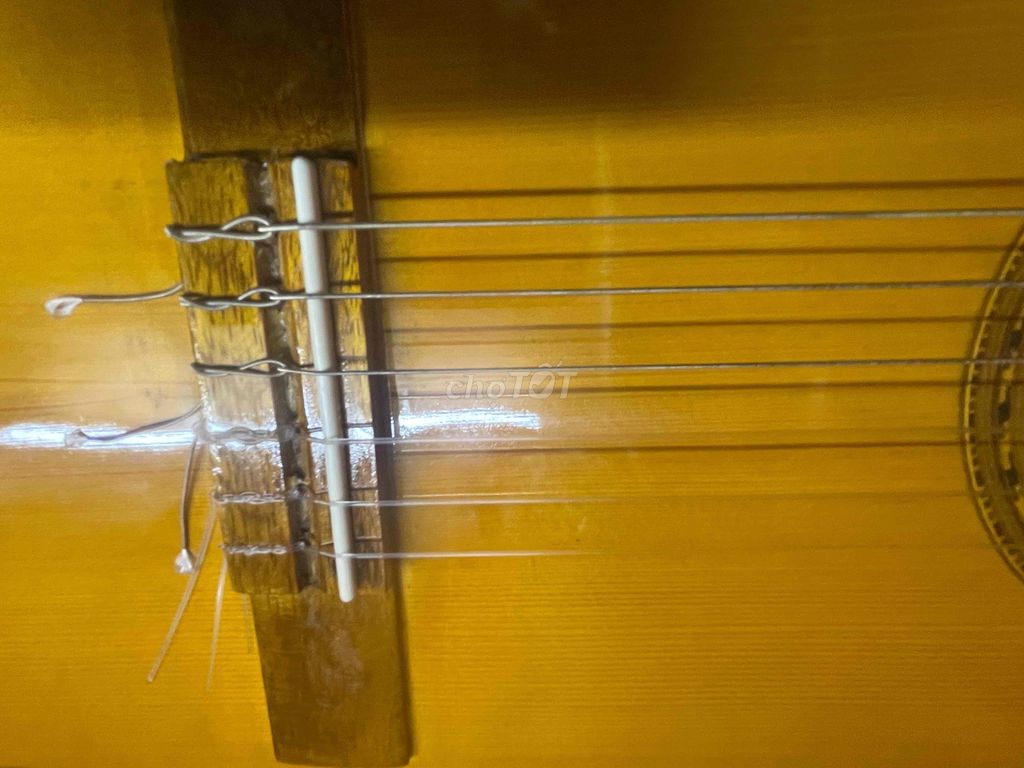 Đàn guitar classic