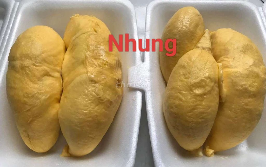 Sầu Ri6 Cơm vàng Bao Ăn