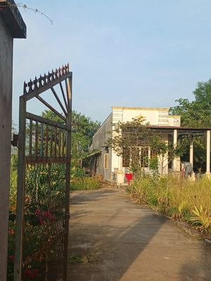 Bán Đất X. Xuân Trường, H.Xuân Lộc, QH Khu Dân Cư, 6300m2,Giá 5Ty3 TL. Mua bán đất tại Huyện Xuân Lộc Đồng Nai được đăng bởi Trần Thái CTA
