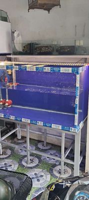 Hồ Cá full đầy đủ.. Mua bán Phụ kiện, Thức ăn, Dịch vụ tại Huyện Trảng Bàng Tây Ninh được đăng bởi CÁ CẢNH TB