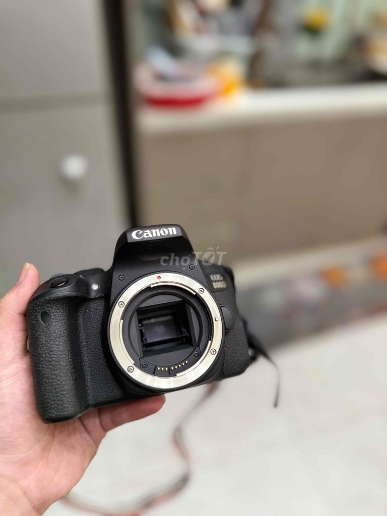 Máy ảnh Canon EOS 800D + Lens 18-55STM, 50, 55-250. Mua bán Máy ảnh, Máy quay tại undefined undefined được đăng bởi Nguyễn Công Danh hình 1