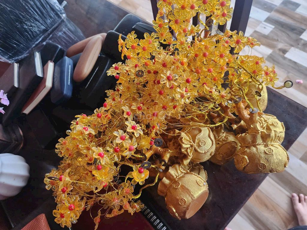 Thanh lý 6 bình cây tài lộc nhựa vàng. Mua bán Cây cảnh, đồ trang trí tại Huyện Chơn Thành Bình Phước được đăng bởi Đồng Hồ Mắt Kính Độc Đẹp Hiếm PND hình 1