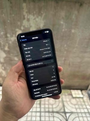 Apple iPhone 11 Pro Max 64GB Xám 92%