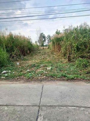 bán đất mặt tiền Bùi Viện .tp Rạch Giá. Mua bán đất tại Thành phố Rạch Giá Kiên Giang được đăng bởi Nguyễn hoàng thái