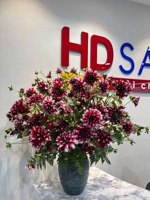 Công ty Tài chính TNHH HD Saison logo