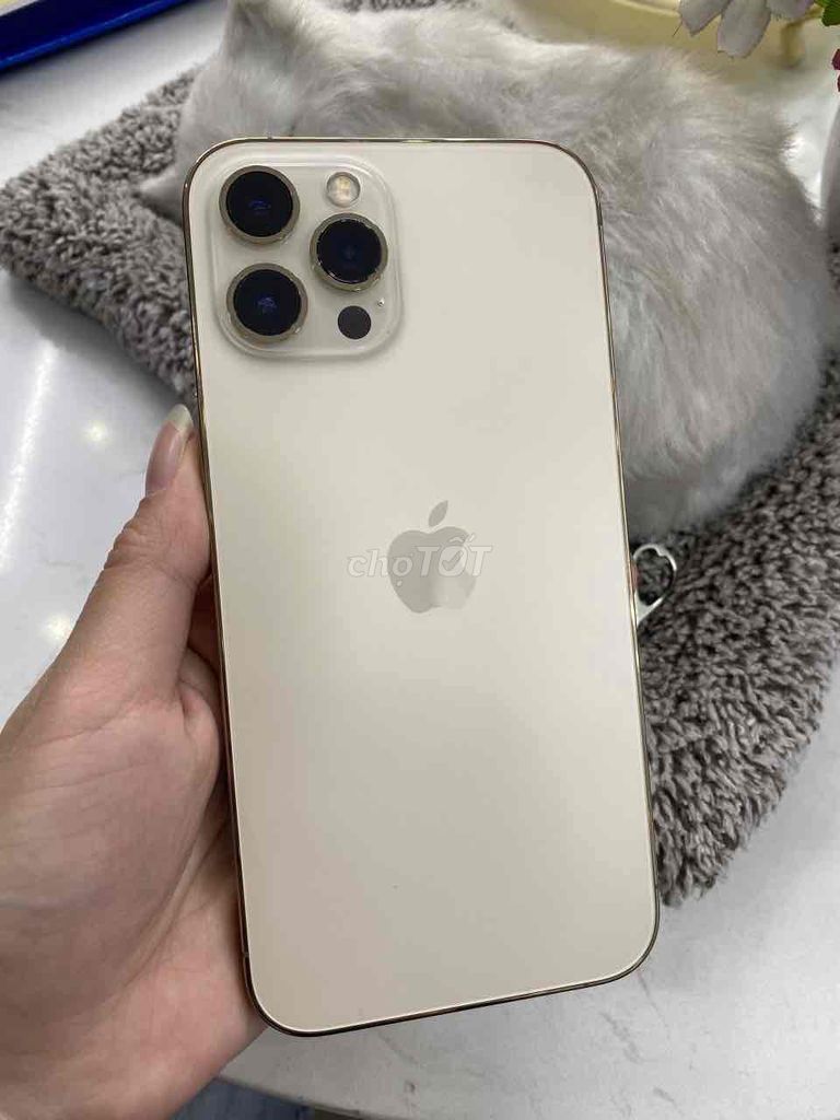 Apple iPhone 12 Pro Max Vàng Đã sử dụng. Mua bán Điện thoại tại Quận Cầu Giấy Hà Nội được đăng bởi Anh Thư hình 1
