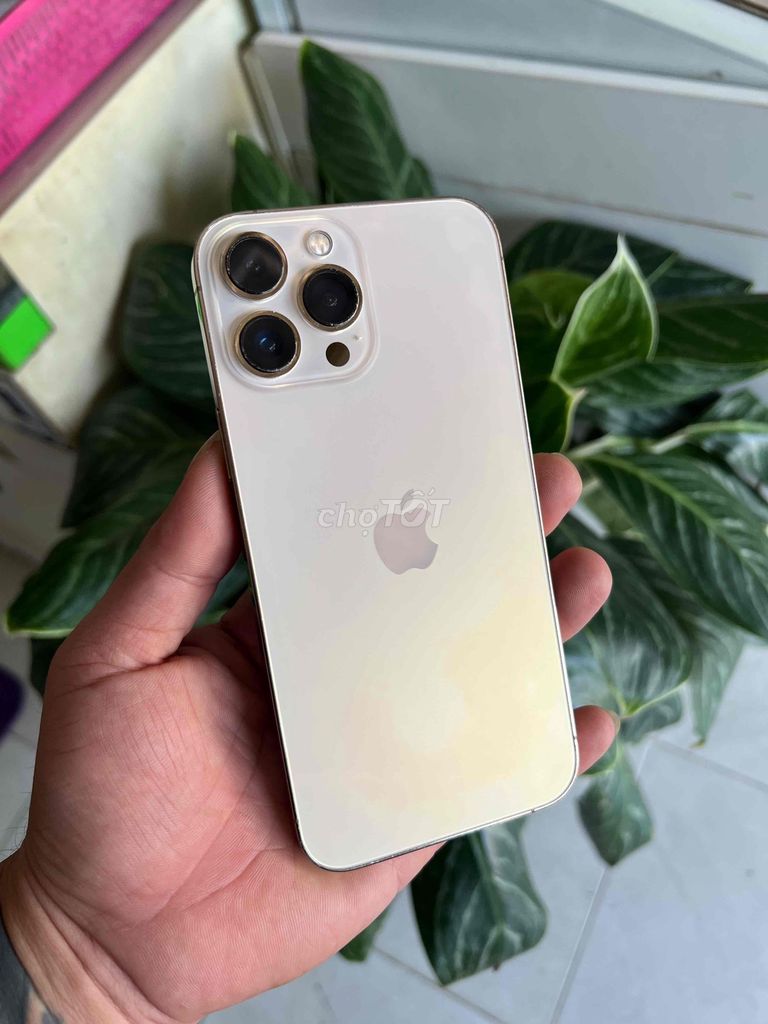 Apple iPhone 13 Pro Max 256GB Vàng Đã sử dụng. Mua bán Điện thoại tại Thành phố Phú Quốc Kiên Giang được đăng bởi tuân hình 1