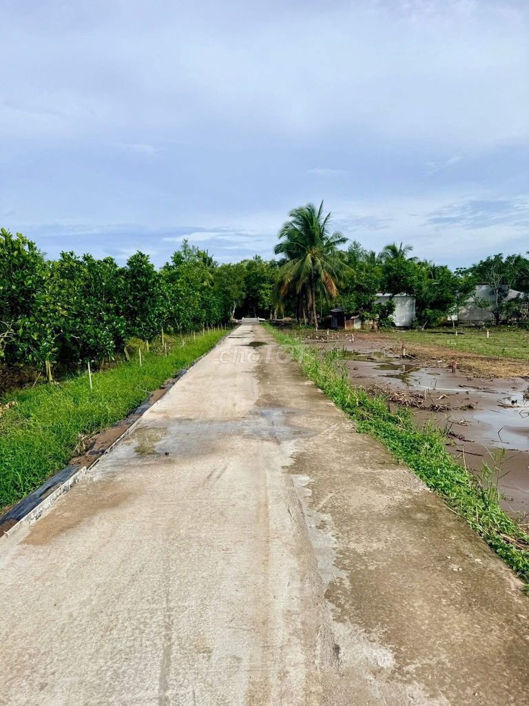 Bán đất nền Lốc Nền Lộ Dal Xã Tân Lược, Vĩnh Long