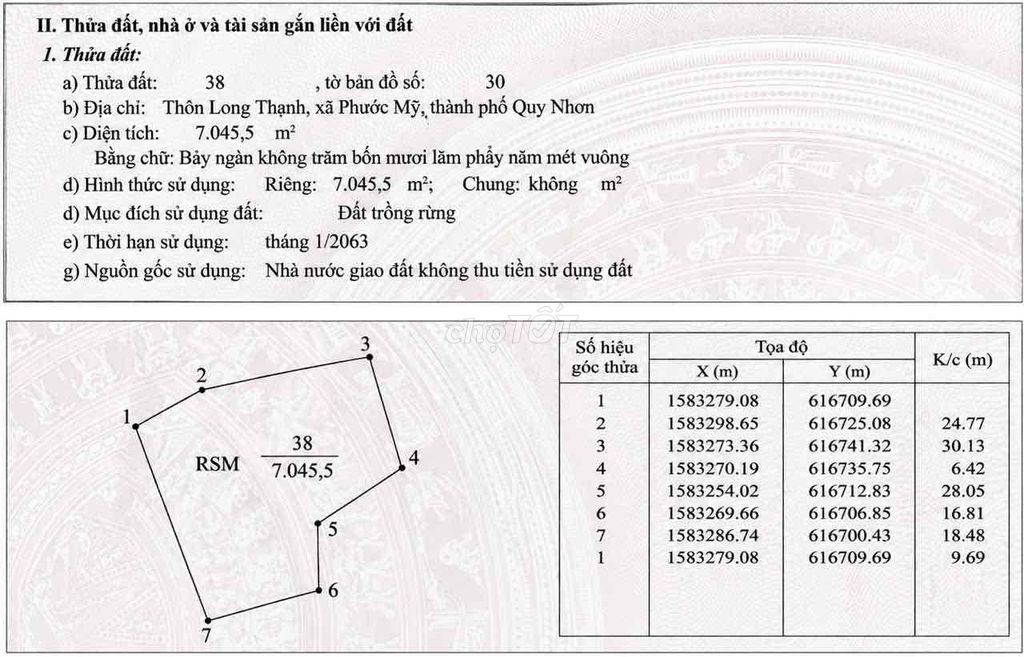 Bán đất rừng trồng keo