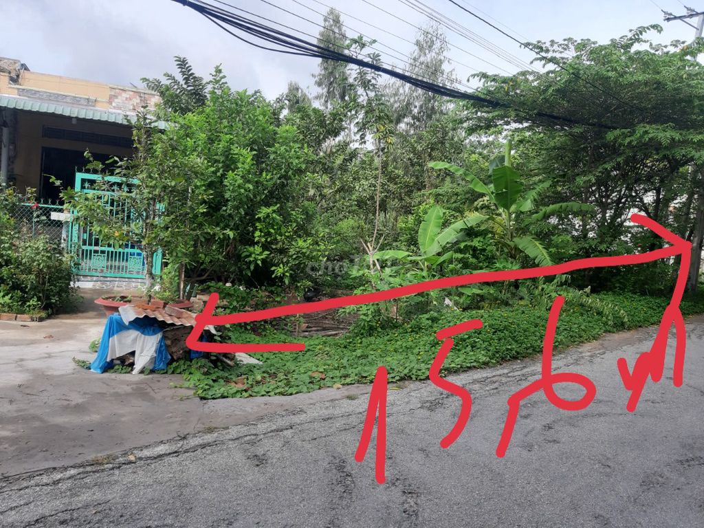 Mãnh Đất mặt tiền rộng 15,6m, lộ nhựa Phong Điền