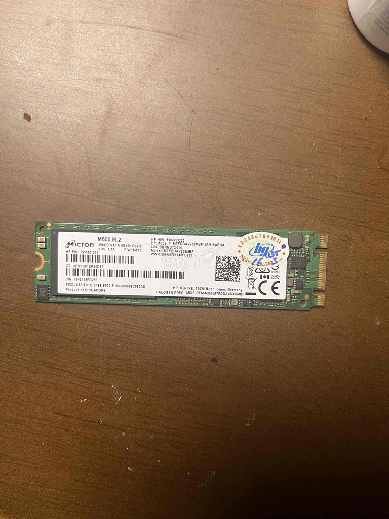 ssd m2 Micron