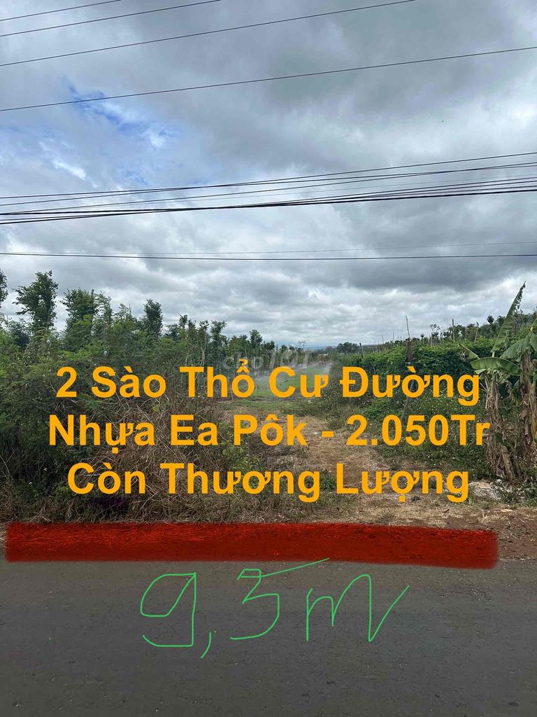 2 Sào Đường Nhựa 120m2 Thổ Cư - Thị Trấn Ea Pôk